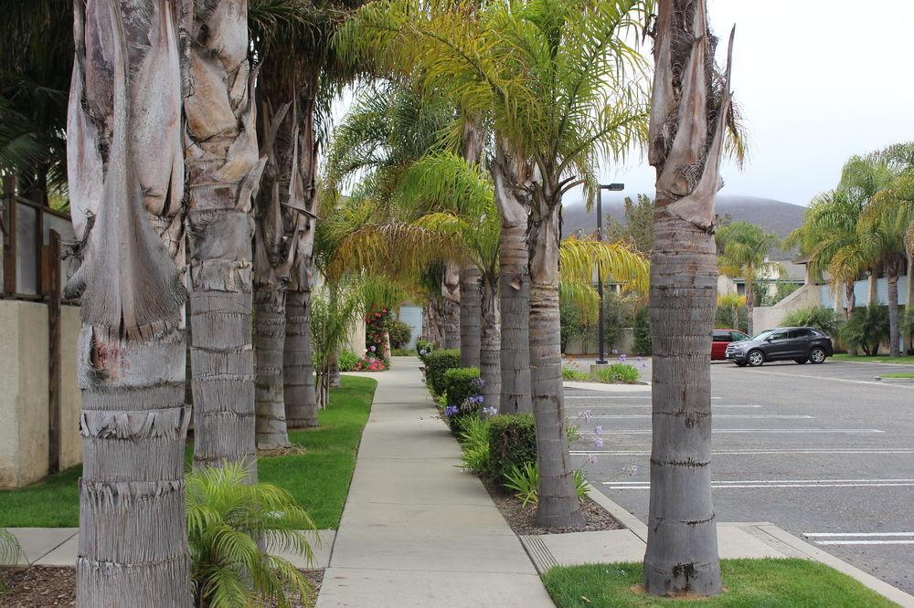 Red Roof Inn Lompoc Εξωτερικό φωτογραφία